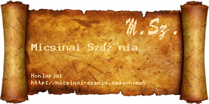 Micsinai Szénia névjegykártya